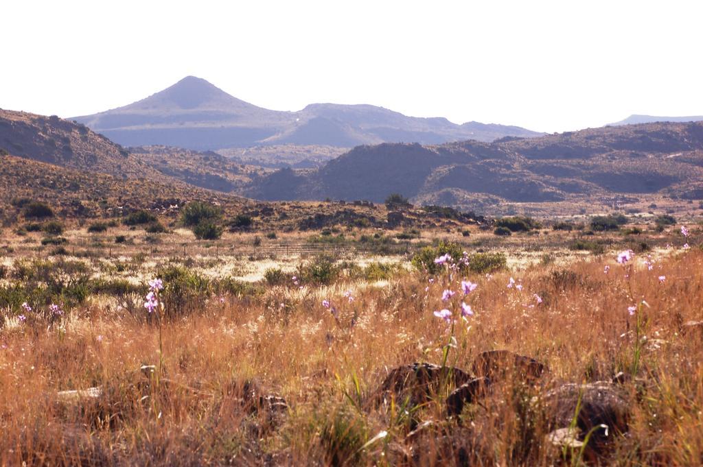 The Vale Karoo Farm Villa Nelspoort Bagian luar foto